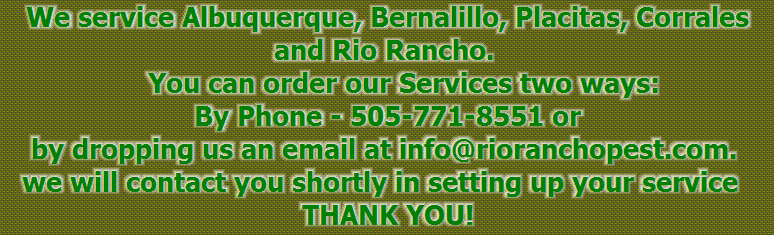 abq-rio_rancho_pest_solutions_-_12-11-09006003.jpg